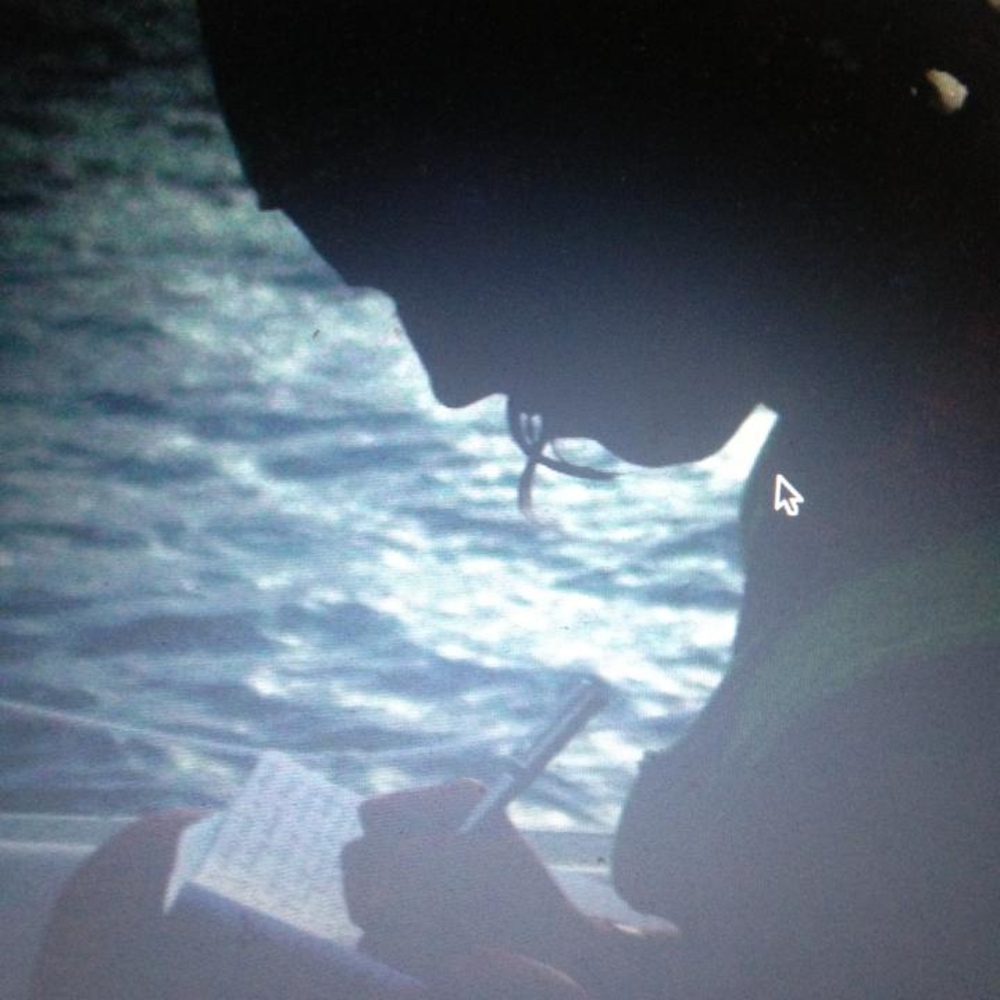 Meet your Posher, Tara